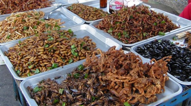 Another Paleo Diet Food Source? Insects! Ewww! Another Paleo Diet Food Source? Insects! Ewww!