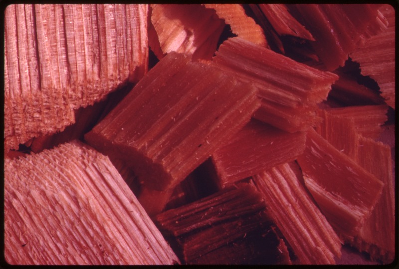 MACRO PHOTOGRAPH OF WOOD CHIPPED FOR THE PULPING PROCESS TAKEN THROUGH A MICROSCOPE