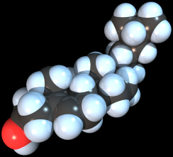 Cholesterol molecule Cholesterol molecule